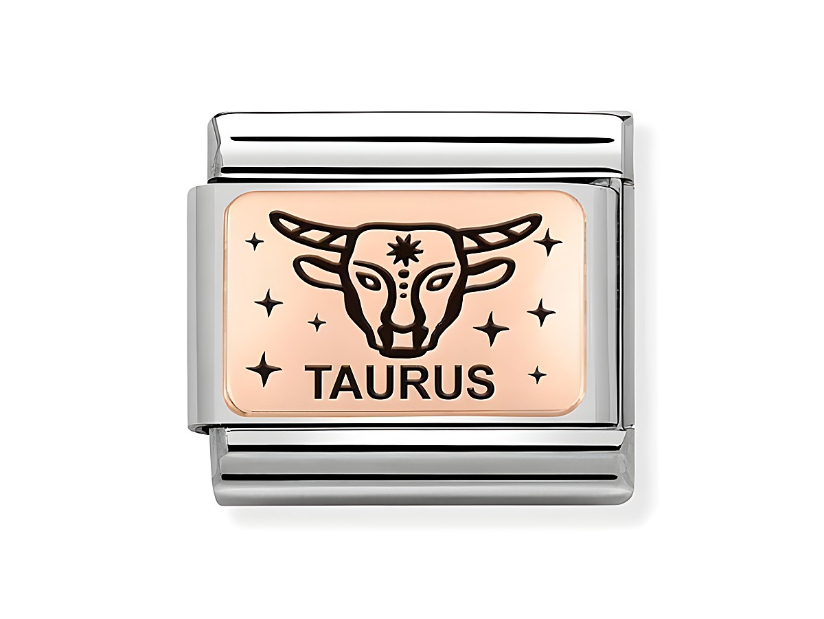 Charm von Nomination aus Edelstahl und Roségold, mit dem Symbol für das Sternzeichen Stier und der Gravur Taurus, umgeben von funkelnden Sternen.