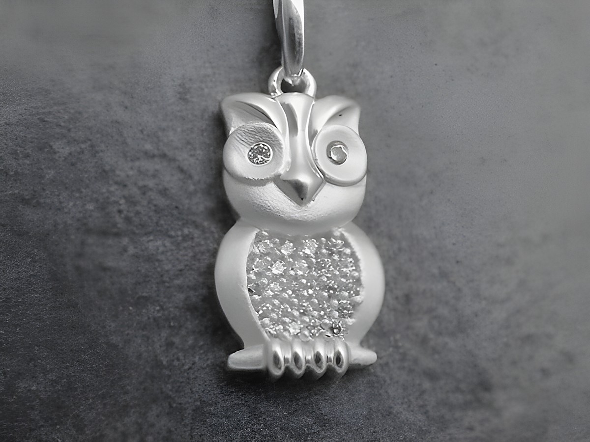 Silber Anhänger Eule mit weissem Zirkonia, traumhaftes Design von Juwelier Harnisch, ideal für Tierliebhaber und Schmuckfans.