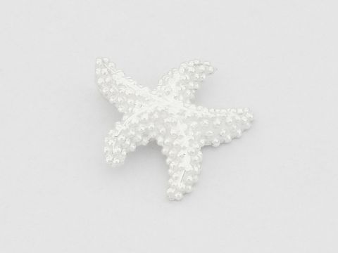 Anhänger in Form eines Seesterns aus Sterling Silber, maritimer Stil, hergestellt von Juwelier Harnisch, ideale Ergänzung für Tierliebhaber und Schmuckfreunde.
