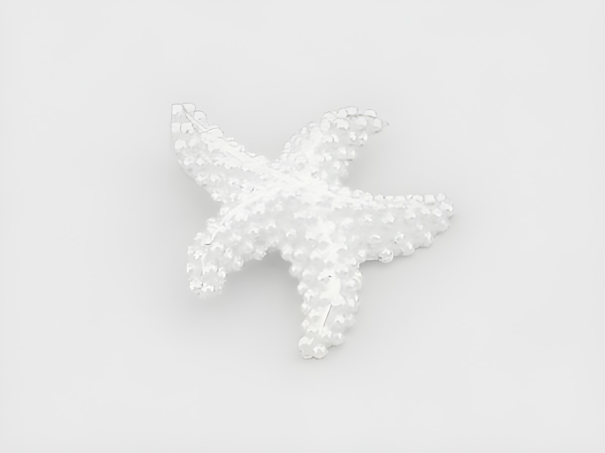 Anhänger in Form eines Seesterns aus Sterling Silber, maritimer Stil, hergestellt von Juwelier Harnisch, ideale Ergänzung für Tierliebhaber und Schmuckfreunde.