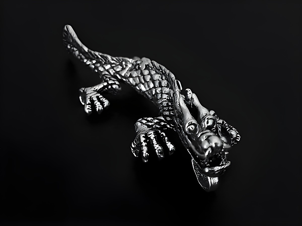 Silber Anhänger eines Drachen in fantasievollem Design, hergestellt von Juwelier Harnisch. Der Drache hat detaillierte Schuppen und einen imposanten Gesichtsausdruck. Ideal für Tierliebhaber.