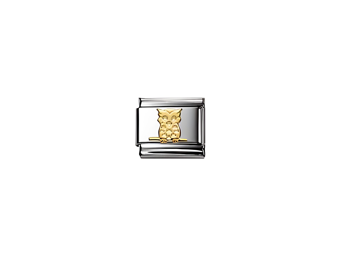 Ein charmantes Schmuckelement aus Silber mit einer goldenen Eule, entworfen von Nomination. Ideal für Tierliebhaber und eine wertvolle Ergänzung für jede Kollektion.