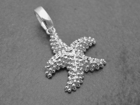 Funkelnder silberner Seestern Anhänger von Juwelier Harnisch, ideal für Tierliebhaber und Schmuckenthusiasten. Elegant und verspielte Design.