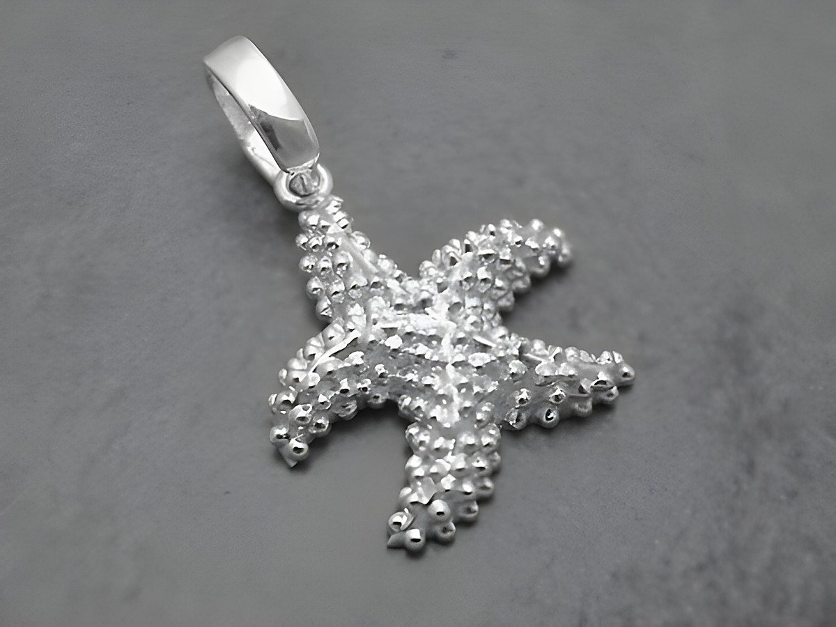Funkelnder silberner Seestern Anhänger von Juwelier Harnisch, ideal für Tierliebhaber und Schmuckenthusiasten. Elegant und verspielte Design.