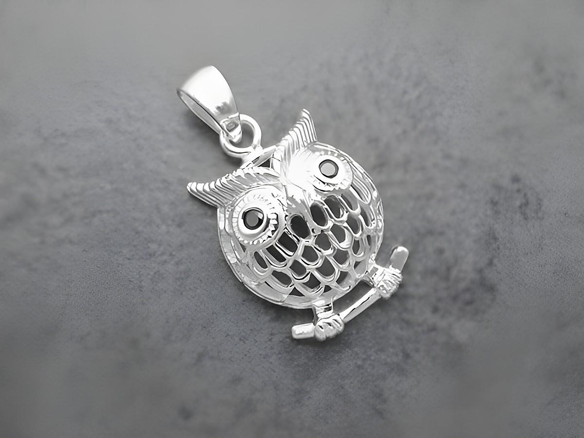 Silber Anhänger einer Eule, die auf einem Ast sitzt, mit Zirkonia in schwarz, als Kauz und Glücksbringer gestaltet, vom Juwelier Harnisch, geeignet für Tierliebhaber.