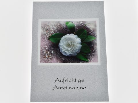 Auf der Trauerkarte ist eine weiße Rose zu sehen, umgeben von grünen Blättern auf einem sanften, schimmernden Hintergrund. Darunter steht der Text Aufrichtige Anteilnahme.