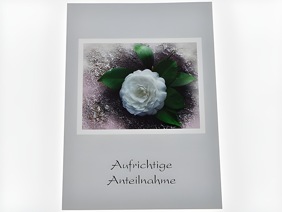 Auf der Trauerkarte ist eine weiße Rose zu sehen, umgeben von grünen Blättern auf einem sanften, schimmernden Hintergrund. Darunter steht der Text Aufrichtige Anteilnahme.