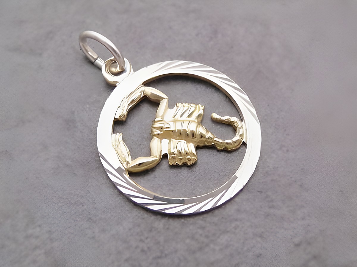 Silberner Anhänger mit vergoldetem Skorpion im Kreis, gefertigt vom Juwelier Harnisch, symbolisiert das Sternzeichen Skorpion. Elegantes Design mit feinen Details.