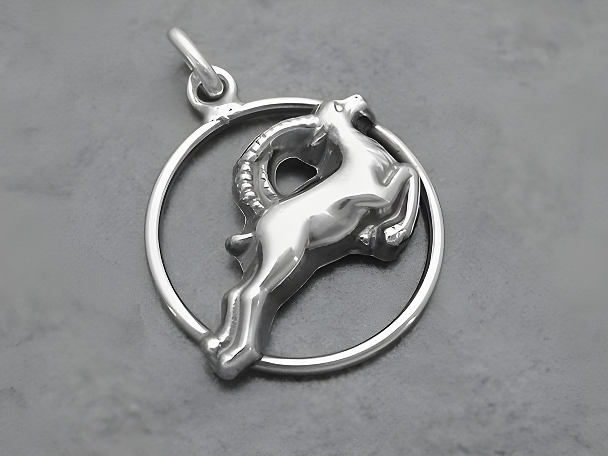 Silber geschwärzt Anhänger mit dem Sternzeichen Steinbock, rund formschöner Schmuck des Herstellers Juwelier Harnisch, sorgfältig gestaltet für Liebhaber von astrologischen Motiven.