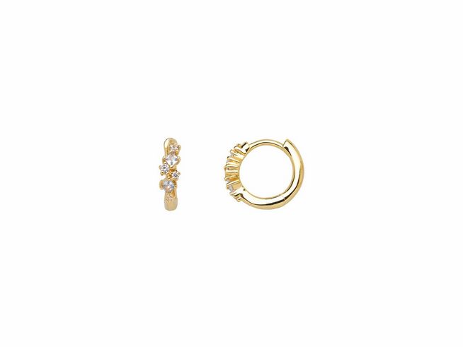 Xenox Sterling Silber Ohrringe XS2358G SPLASH in Gelbgold Vergoldung, elegantes Design mit funkelnden Kristallen, idealer Ohrschmuck für besondere Anlässe.