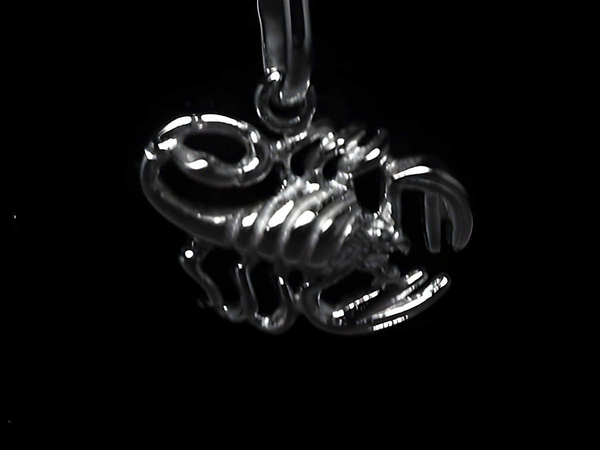 Skorpion poliertes Sternzeichen aus 925 Sterling Silber, hergestellt von Juwelier Harnisch, zeigt detaillierte Darstellung eines Skorpions als eleganten Anhänger.