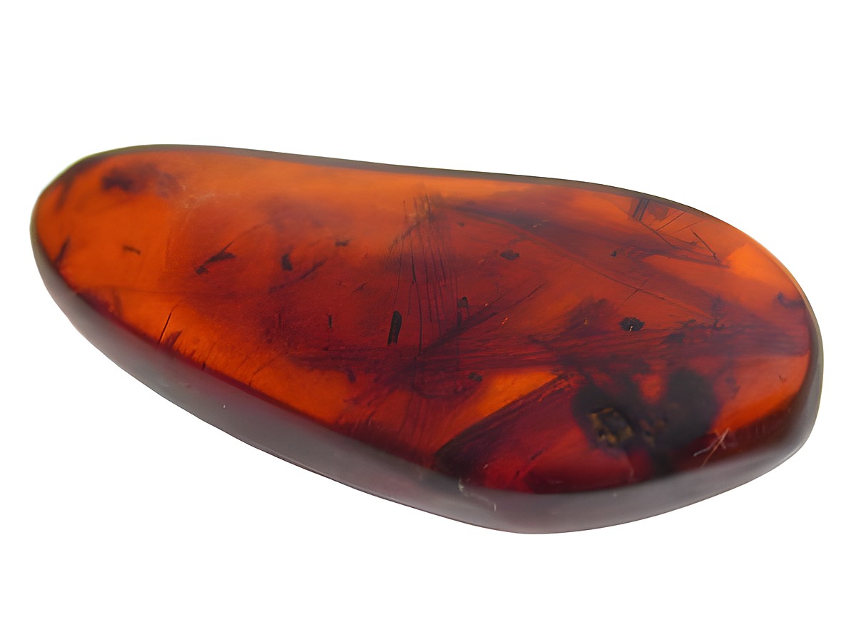 Bernstein mit Einschlüssen von Ameisen, Termitenflügeln und Mücken, leuchtende rote-orange Farbe, glatt geschliffen, ideal für Schmuckstücke von Juwelier Harnisch.