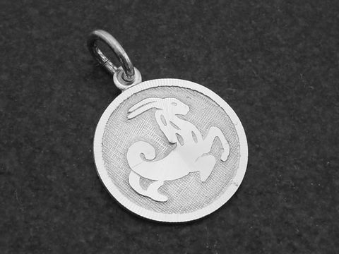 Runder 3D Silber Anhänger mit dem Sternzeichen Steinbock, designt von Juwelier Harnisch, zeigt das Symbol des Steinbocks auf strukturiertem Hintergrund.