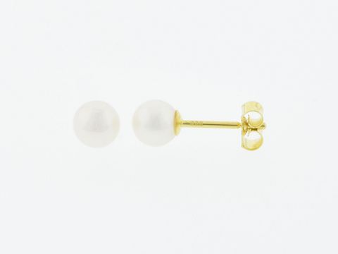 Gold Perlen Ohrringe aus 333 Gold mit 5,3 mm großen Süßwasser Zuchtperlen vom Hersteller Juwelier Harnisch, elegant und zeitlos für jedes Outfit.