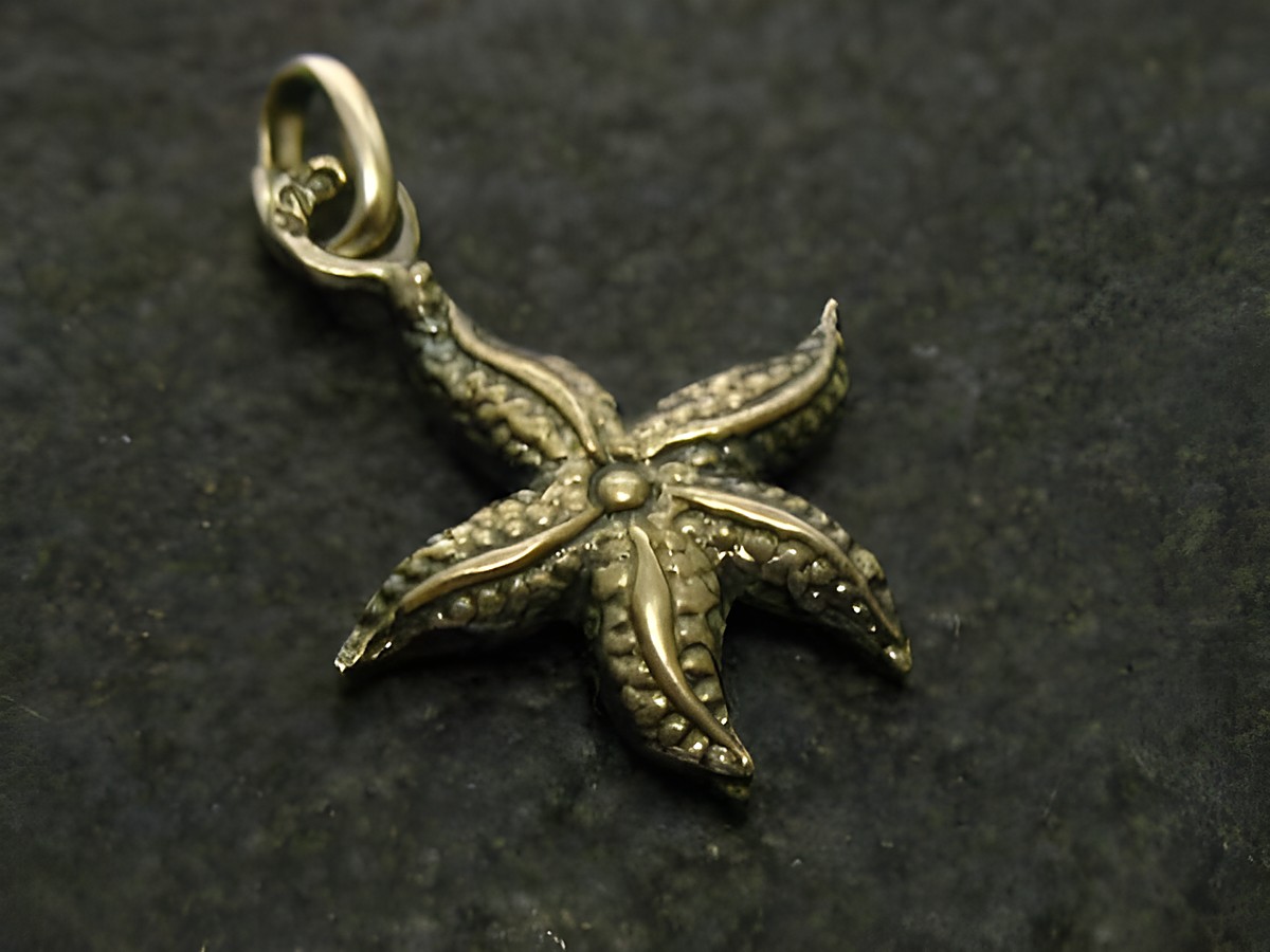 Seestern Silberanhänger Asteroidea 17 mm von Juwelier Harnisch, detailreiche Darstellung eines Seesterns, ideal für tierliebende Schmuckliebhaber.