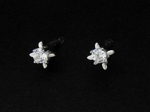 Silber Ohrringe funkelnd Ohrstecker rhodiniert mit Zirkonia von Juwelier Harnisch, elegant und zeitlos, ideal für besondere Anlässe oder den Alltag.
