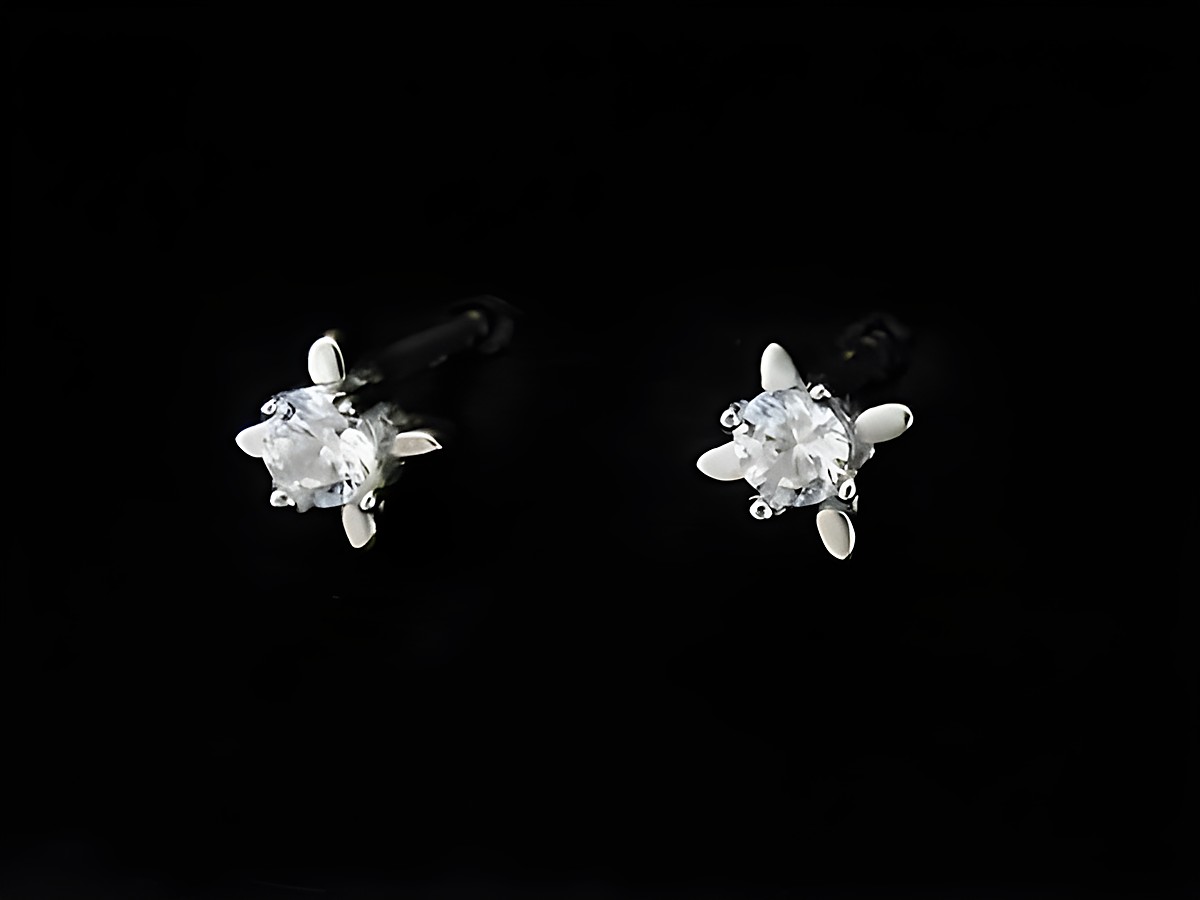 Silber Ohrringe funkelnd Ohrstecker rhodiniert mit Zirkonia von Juwelier Harnisch, elegant und zeitlos, ideal für besondere Anlässe oder den Alltag.