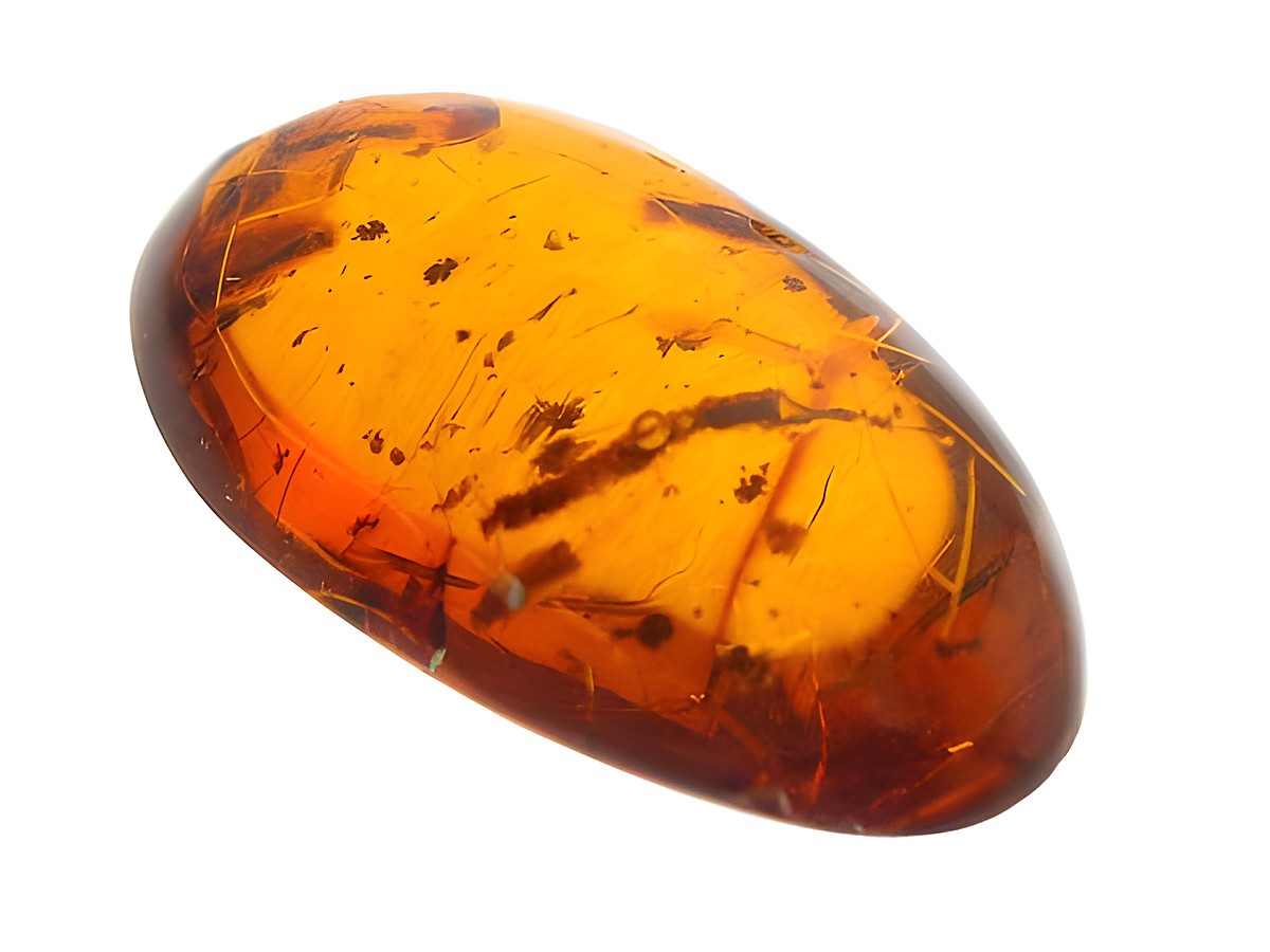 Bernstein Holzkäfer und Fliege eingeschlossen in einem hochwertigen Amber Sammlerstück, hergestellt von Juwelier Harnisch. Ein einzigartiges und faszinierendes Naturprodukt.