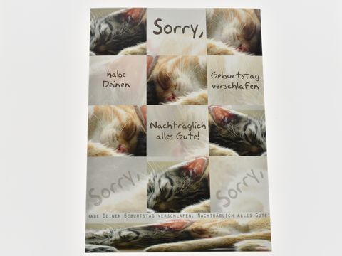 Eine Geburtstagskarte mit schlafenden Katzen und dem Text Sorry habe Deinen Geburtstag verschlafen, nachträglich alles Gute. Hersteller Juwelier Harnisch, Geburtstagskarten.