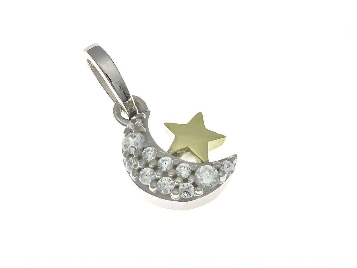 Mond und Stern Anhänger aus Sterling Silber Bicolor rhodiniert mit funkelnden Zirkonia, gefertigt vom Juwelier Harnisch, ideal für Tierliebhaber und Schmuckfans.