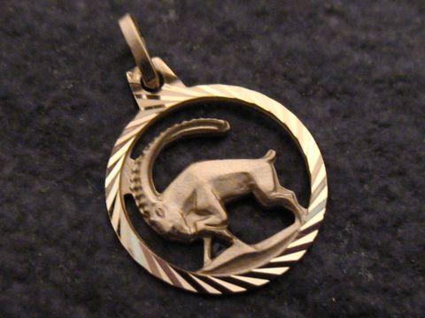Steinbock 333 Gold Anhänger Sternzeichen, Hersteller Juwelier Harnisch, zeigt eine elegant gestaltete Darstellung eines Steinbocks in runder Form mit feinen Zierelementen.