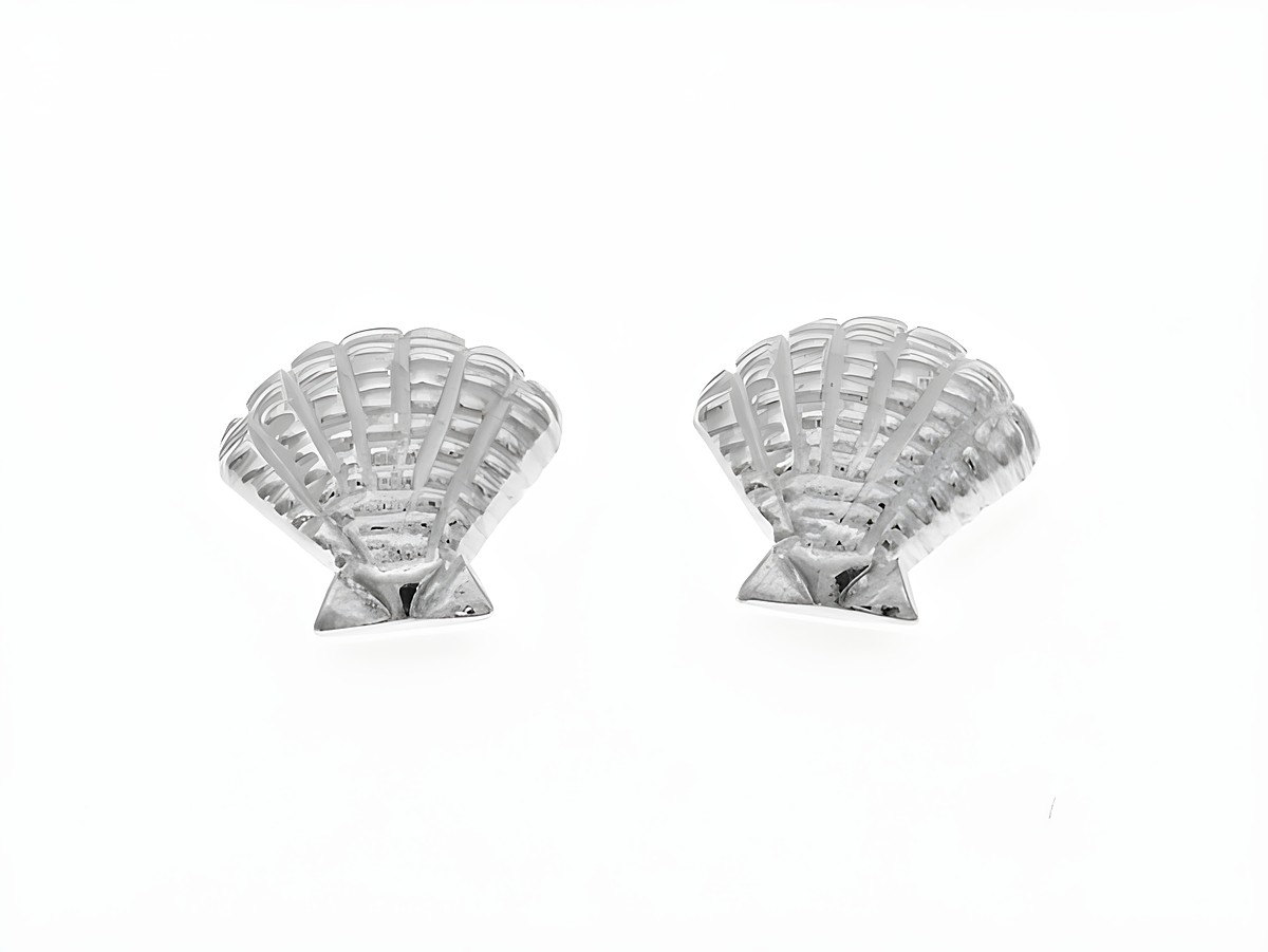 Ohrringe Muschel aus Silber 925, zauberhaftes Design von Juwelier Harnisch, Ohrstecker ohne Stein in Form von Muscheln, ideal für jeden Anlass.
