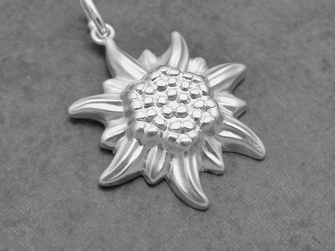 Silber Anhänger in Form eines Edelweiss, symbolisch und teilmattiert, hergestellt von Juwelier Harnisch, zeigt detailreiche Pflanzenmotive und edles Design für Schmuckliebhaber.