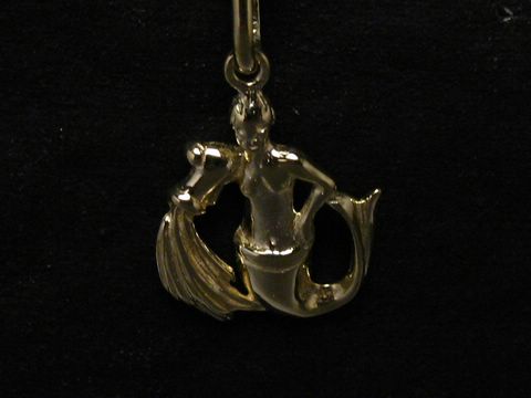 46686-0 Wassermann - poliertes Gold Sternzeichen - plastisch dargestellt als Anhänger, Hersteller Juwelier Harnisch, edles Design für individuelle Ausdrücke.