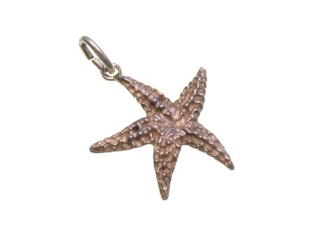 Seestern Silber Anhänger in der Form eines Seesterns, Größe 22 x 19 mm, hergestellt von Juwelier Harnisch, ideal für maritime und seefahrtsbezogene Schmuckstücke.