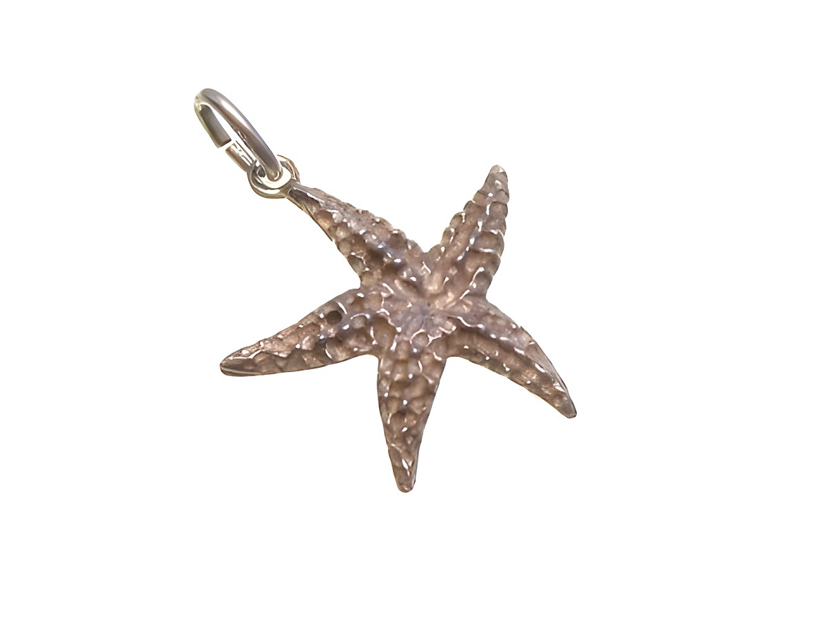 Seestern Silber Anhänger in der Form eines Seesterns, Größe 22 x 19 mm, hergestellt von Juwelier Harnisch, ideal für maritime und seefahrtsbezogene Schmuckstücke.