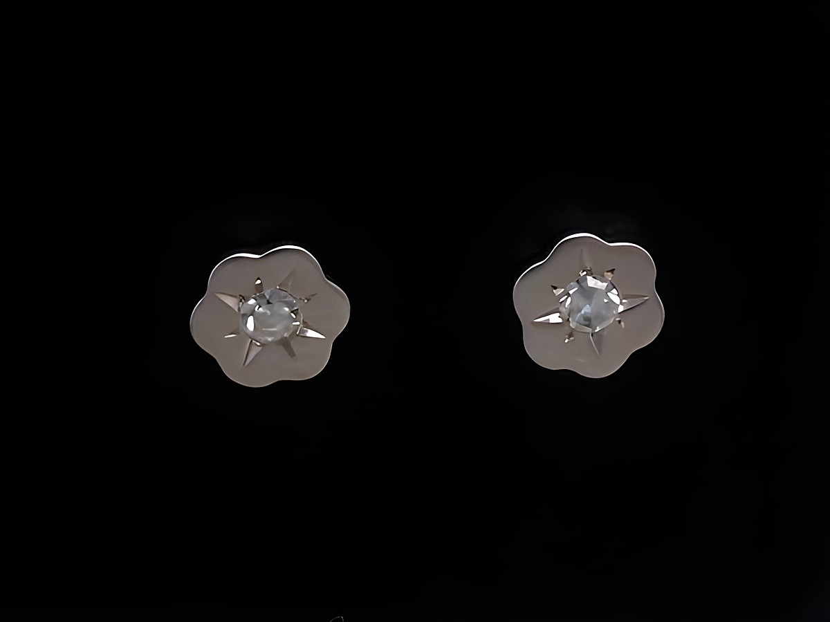 Ohrringe Blume in Weißgold mit Diamant 0,06 ct W/P1 vom Hersteller Juwelier Harnisch, filigran gearbeitet und elegant, ideal für festliche Anlässe oder den Alltag.