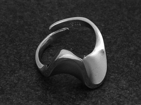 Silberring rho, elegant, teil-mattiert, in verstellbarer Größe, Hersteller Juwelier Harnisch, ohne Stein, rhodiniert, modernes Design mit geschwungenen Formen.