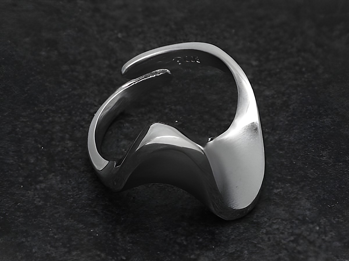 Silberring rho, elegant, teil-mattiert, in verstellbarer Größe, Hersteller Juwelier Harnisch, ohne Stein, rhodiniert, modernes Design mit geschwungenen Formen.