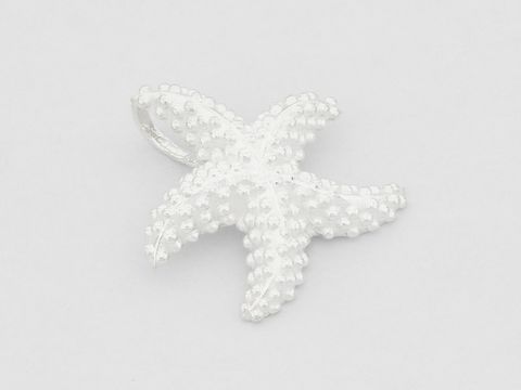 Ein Seestern Anhänger aus Sterling Silber mit gepunktetem Design, hergestellt von Juwelier Harnisch, stilvoll und elegant, ideal für Tierliebhaber und Modeschmuck.