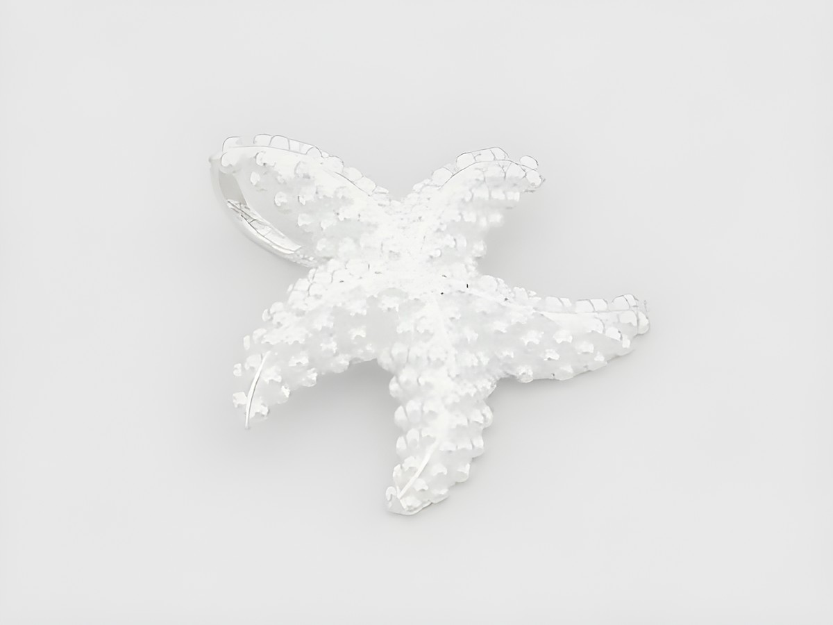Ein Seestern Anhänger aus Sterling Silber mit gepunktetem Design, hergestellt von Juwelier Harnisch, stilvoll und elegant, ideal für Tierliebhaber und Modeschmuck.