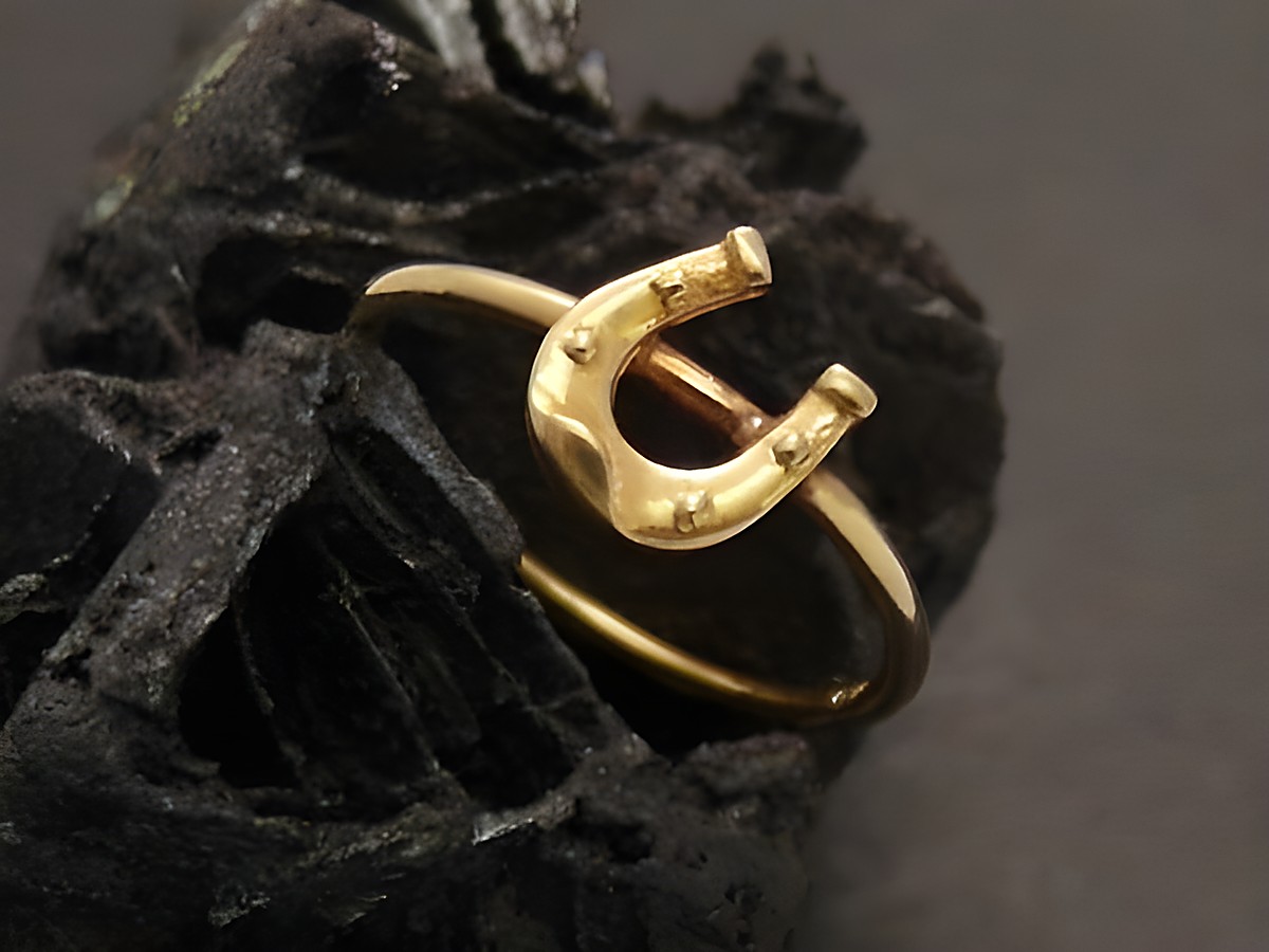 Goldring mit Hufeisen-Design aus Gold 333 in Größe 53, Hersteller Juwelier Harnisch, geeignet bis Größe 54. Ein elegantes Schmuckstück für Glücksbringer.