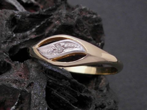 Gold Ring - faszinierend - Gold 333 bicolor - Diamant - Goldring - Gr. 56, Hersteller: Juwelier Harnisch, bis Gr. 56/18.