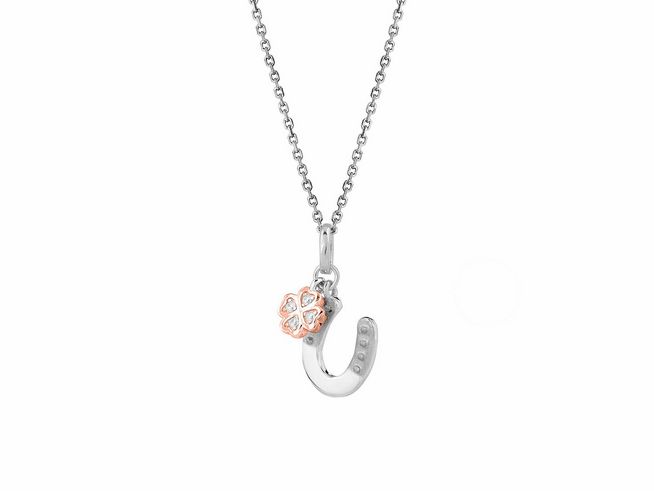 An einer filigranen Ankerkette aus Silber hängt ein charmantes Hufeisen mit einem roségoldenen Kleeblatt, das Glück symbolisiert. Die Kettenlänge beträgt 40 bis 45 cm.