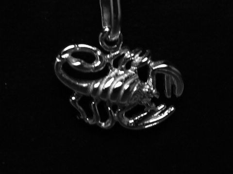 Skorpion Sternzeichen rhodiniert 925 Sterling Silber von Juwelier Harnisch, detaillierte Darstellung eines stilisierten Skorpions als Anhänger, glänzende Oberfläche, elegantes Design.