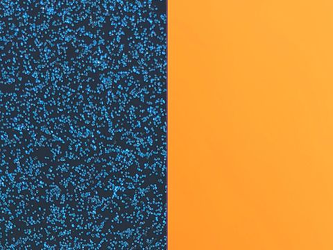 Perspexeinlage von Les Georgettes in Blau Glitzer und Apricot, geeignet für 8 mm Ringe, präsentiert eine texturierte blaue Oberfläche und eine glatte apricotfarbene Fläche.