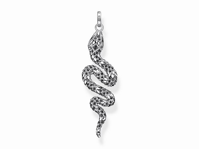 Anhänger in Form einer mystischen Schlange aus geschwärztem Sterling Silber mit Zirkonia-Steinen, detailreich und elegant gestaltet, ideal für individuellen Schmuck.