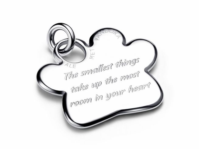 Pandora Pfote Halsbandanhänger aus Edelstahl mit eingraviertem Spruch "The smallest things take up the most room in your heart". Der Anhänger ist ohne Kette erhältlich.