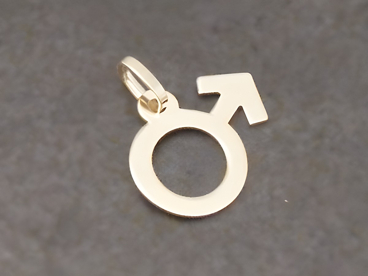 Männerzeichen Gold Anhänger schlicht poliert vom Hersteller Juwelier Harnisch, ideal als modisches Accessoire für den Alltag oder besondere Anlässe.
