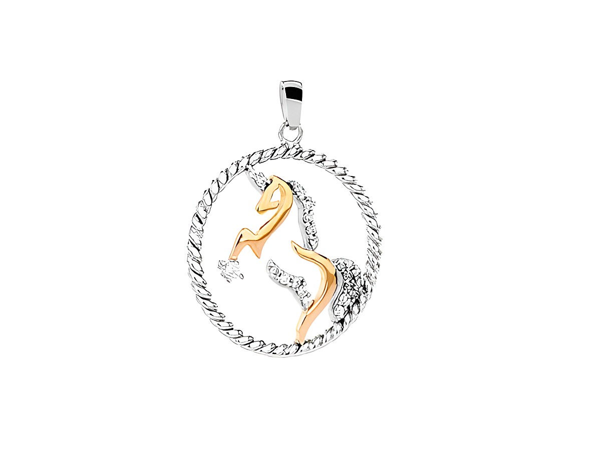 Einhorn Anhänger aus Silber rhodiniert mit Zirkonia in Weiß, bicolor Design. Das filigrane Einhorn ist in einen kreisförmigen Rahmen eingebettet. Hersteller: Juwelier Harnisch.