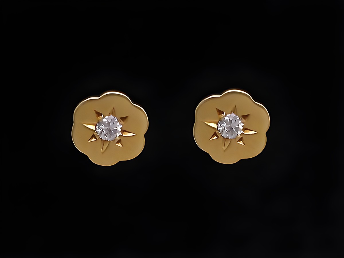 Ohrringe in Blumenform aus Gold 585 mit einem brillant von 0,10 ct W/P1, Hersteller Juwelier Harnisch, ideal für einen eleganten Look.