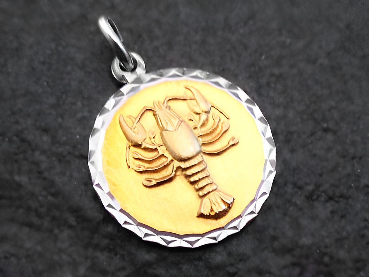 Sternzeichen Krebs Anhänger aus Gold auf silbernem Hintergrund, elegant gearbeitet mit detailreicher Darstellung eines Krebses, hergestellt von Juwelier Harnisch.