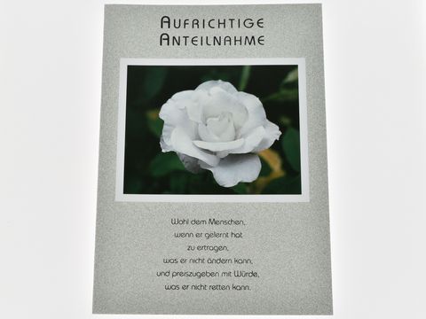Trauerkarte mit einer weißen Rose auf einem dunkelgrünen Hintergrund, umrahmt von einem schlichten weißen Rahmen. Darunter der Text "Aufrichtige Anteilnahme" in eleganter Schrift.