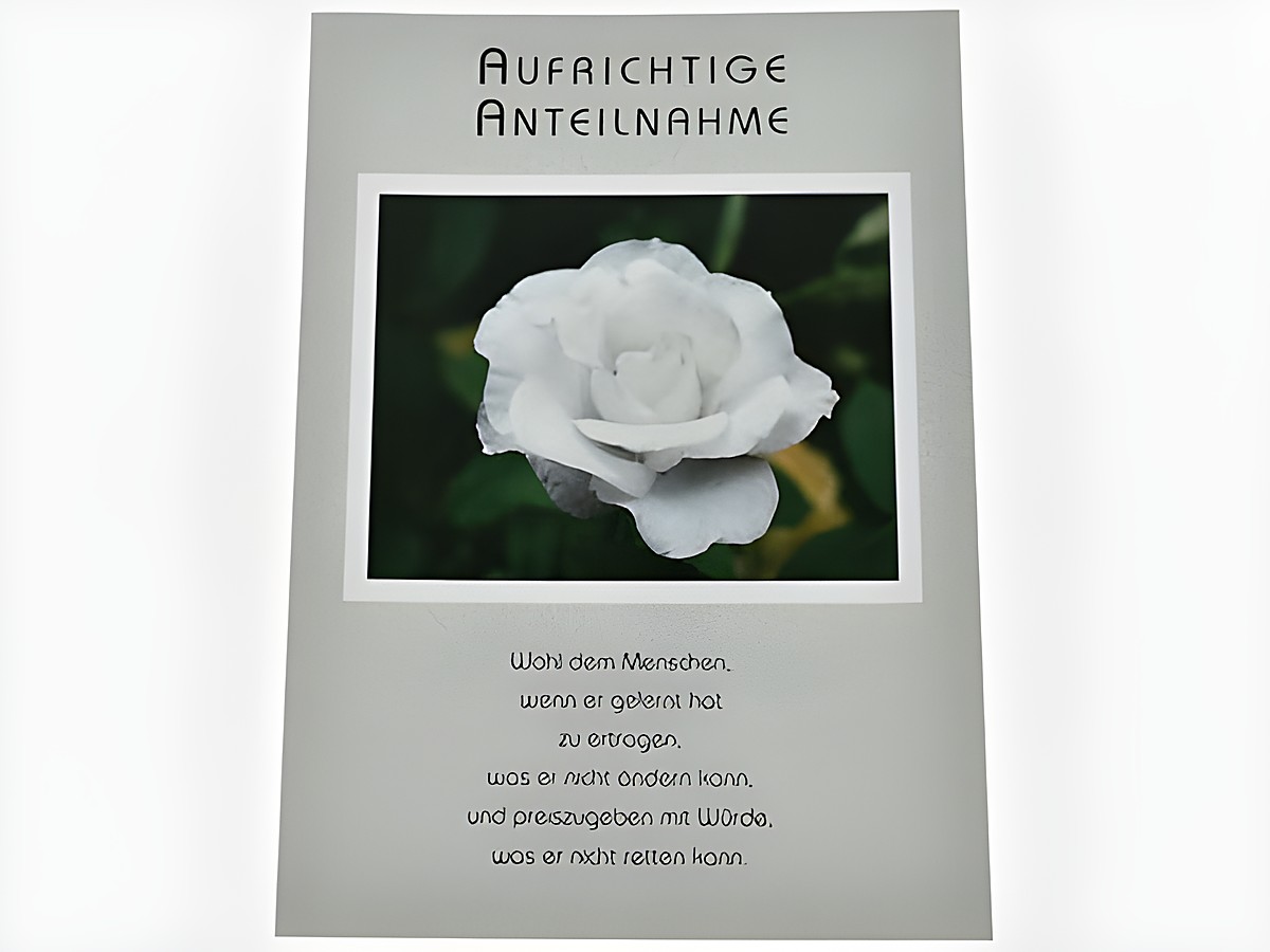 Trauerkarte mit einer weißen Rose auf einem dunkelgrünen Hintergrund, umrahmt von einem schlichten weißen Rahmen. Darunter der Text "Aufrichtige Anteilnahme" in eleganter Schrift.