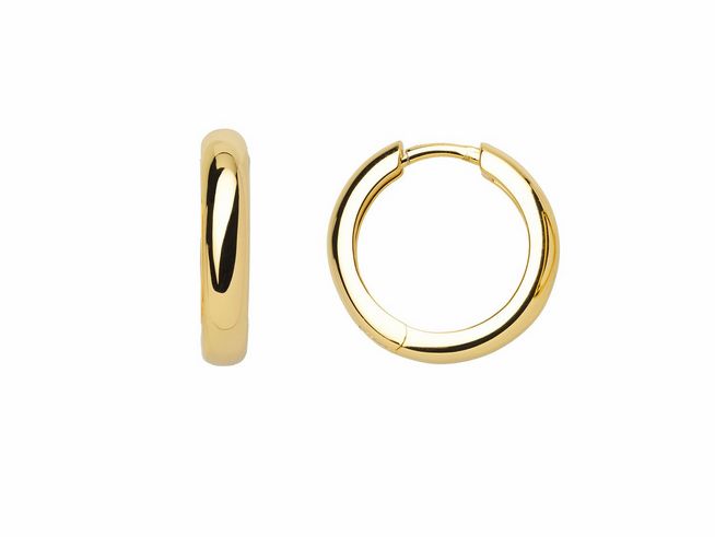 Xenox Sterling Silber Ohrringe XS8661G Creolen in Gelbgold Vergoldung, elegant und schlicht, ideales Accessoire für jeden Anlass. Hochwertiger Ohrschmuck von Xenox.