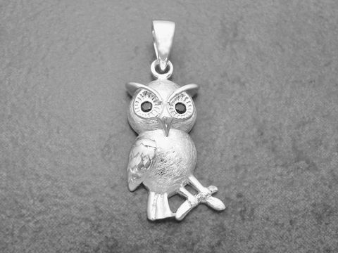 Eule als teilmattierter Silber Anhänger mit Zirkonia in schwarz von Juwelier Harnisch, ein Kauz als Glücksbringer, ideal für Tierliebhaber.